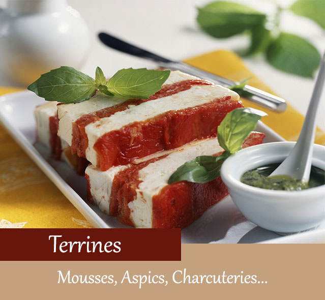 Terrine au saumon et crevettes pour recevoir ou pour les fêtes Les