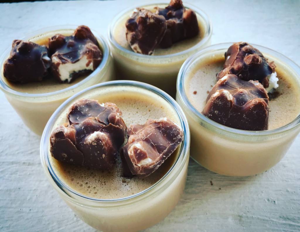 Comme une panna cotta « koalas »